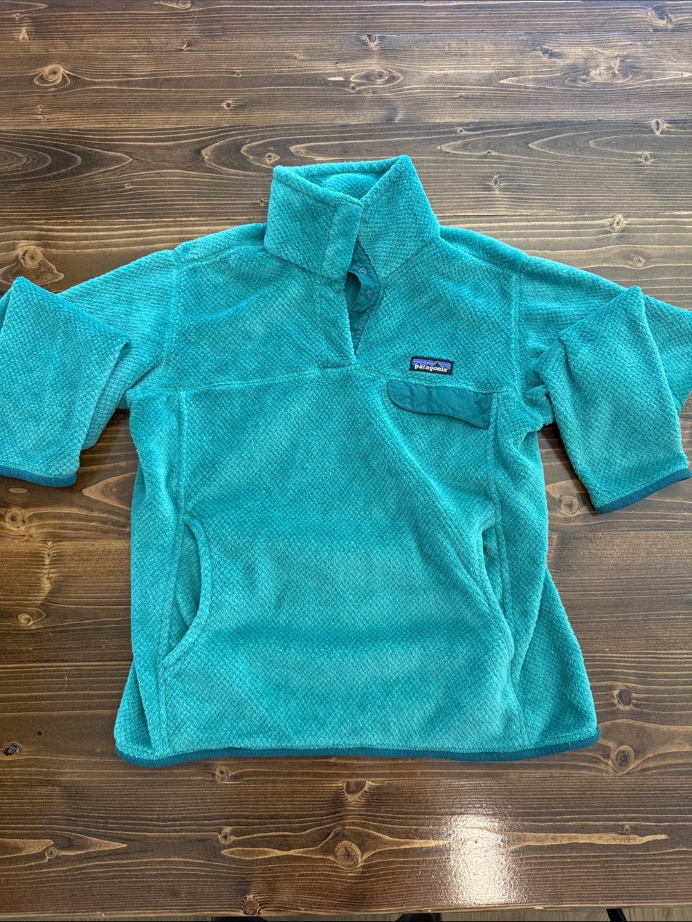 Patagonia Teal Snap Pullover